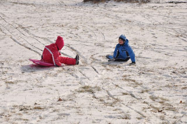 Snežne radosti Celje 5.2.2012 - foto