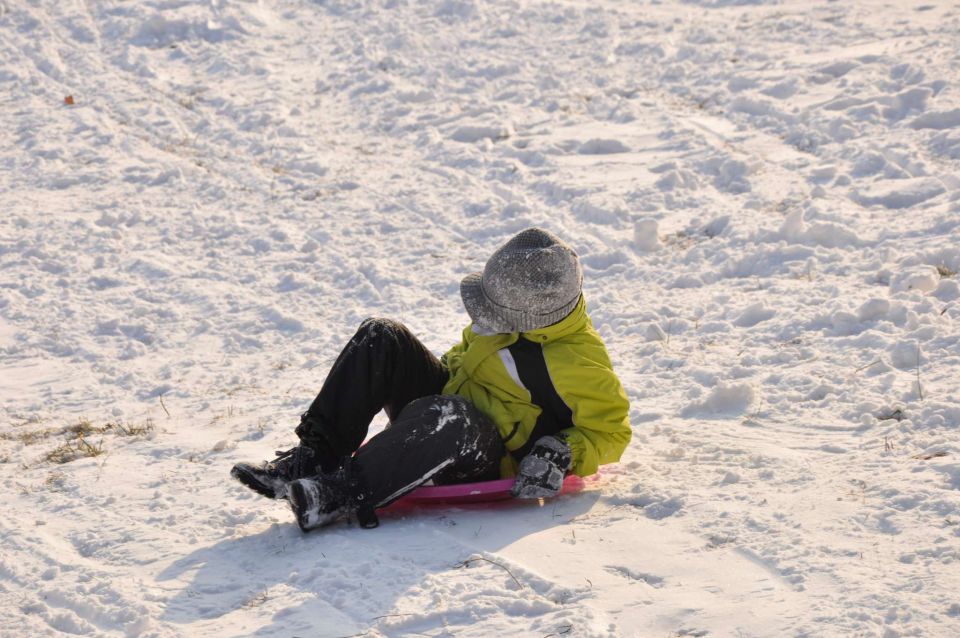 Snežne radosti Celje 8.2.2012 - foto povečava