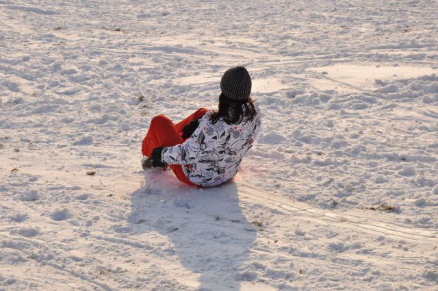 Snežne radosti Celje 8.2.2012 - foto