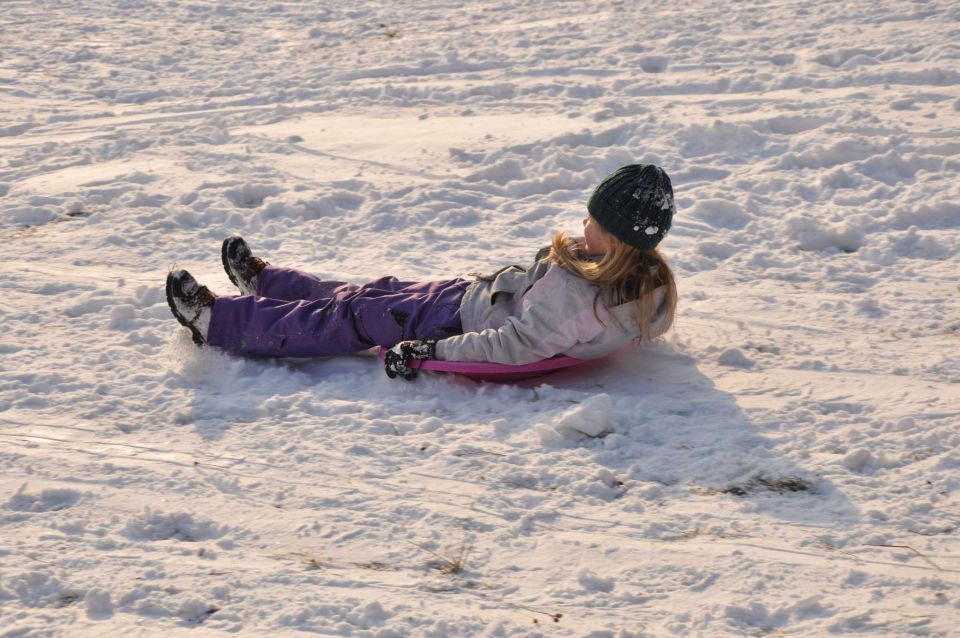 Snežne radosti Celje 8.2.2012 - foto povečava