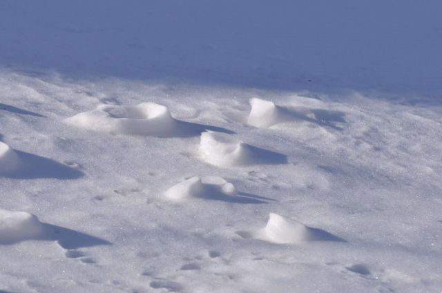 Savinjska - sneg 18.2.2012 - foto