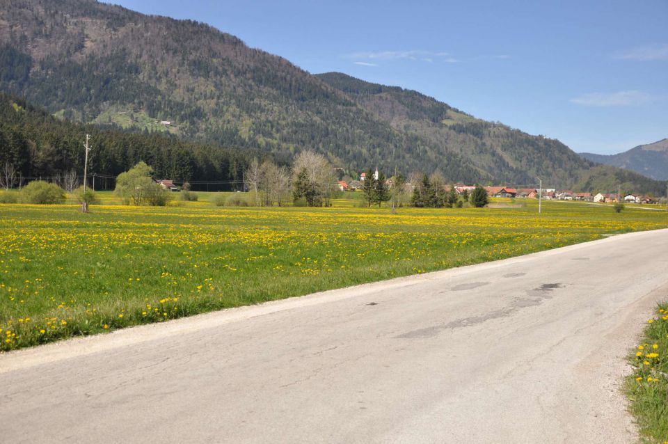 Kranjska reber 27.4.2012 - foto povečava