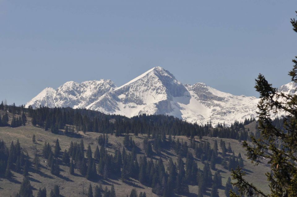 Kranjska reber 27.4.2012 - foto povečava