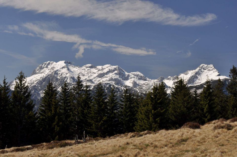 Kranjska reber 27.4.2012 - foto povečava