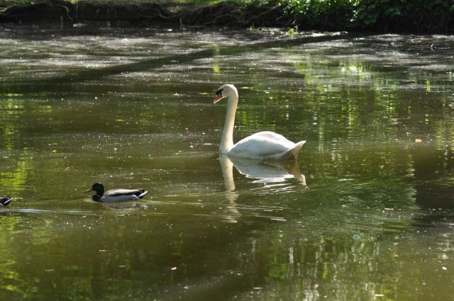 ZOO Zagreb 28.4.2012 - foto