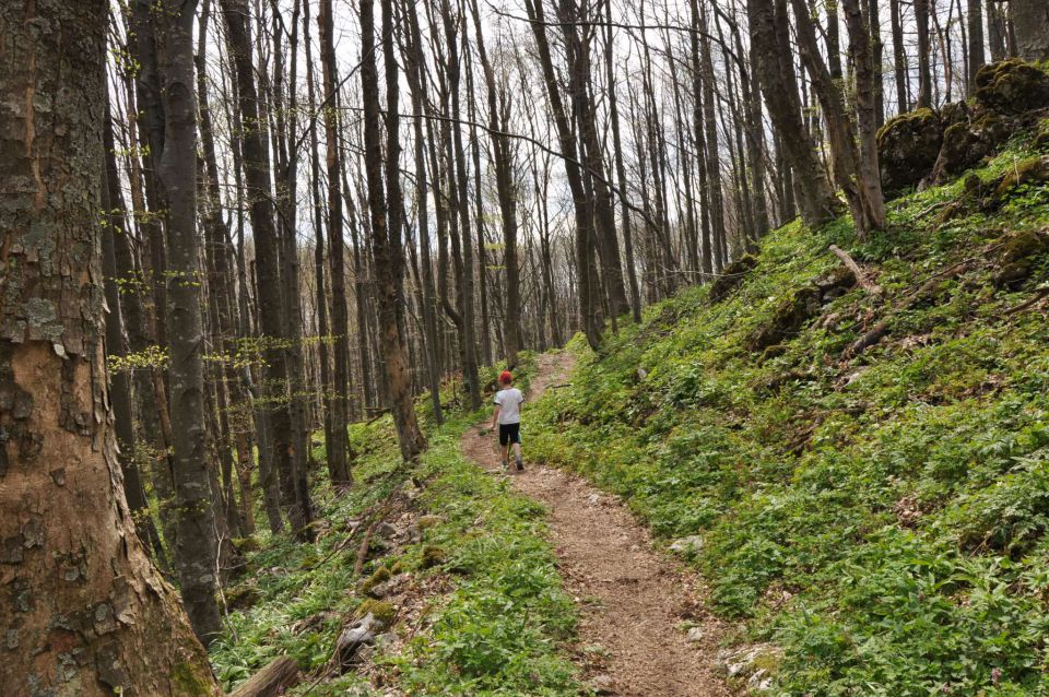 Kum 30.4.2012 - foto povečava