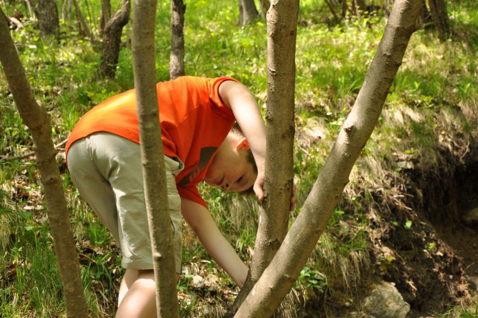 Šmarna gora 2.5.2012 - foto povečava