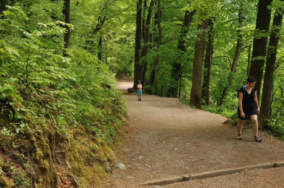 Šmarna gora 2.5.2012 - foto povečava