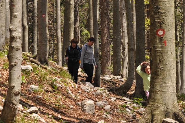 Mali golak, Trnovski gozd, Bela 5.5.2012 - foto