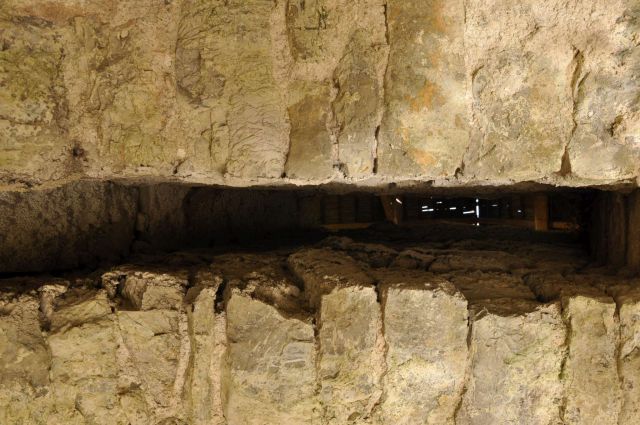 Mali golak, Trnovski gozd, Bela 5.5.2012 - foto