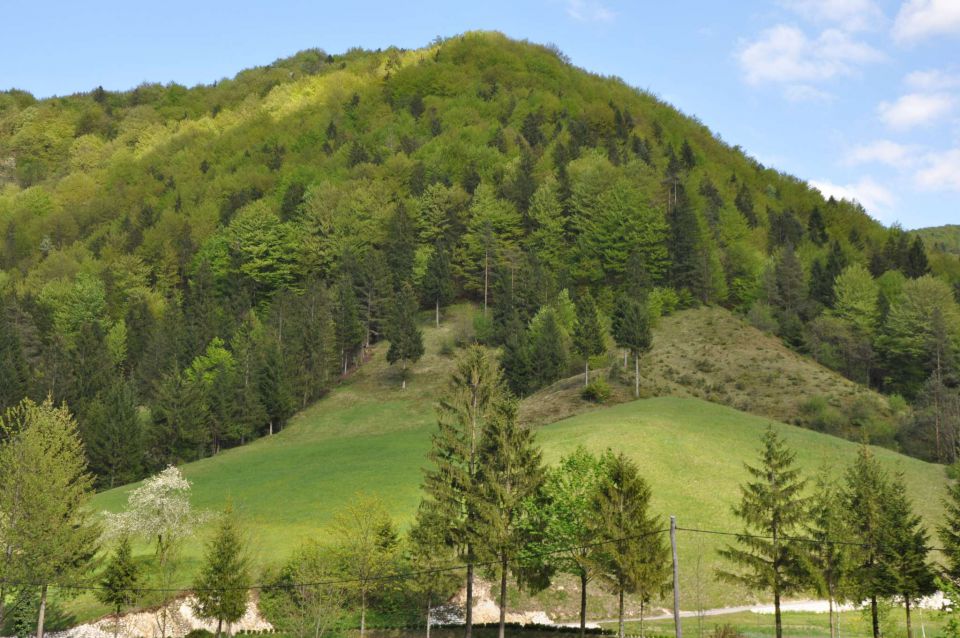 Mali golak, Trnovski gozd, Bela 5.5.2012 - foto povečava