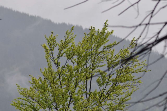 Savinjska 6.5.2012 - foto
