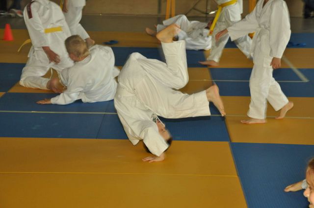 Judo Matej (2. mesto v svoji kat.) 19.5.2012 - foto