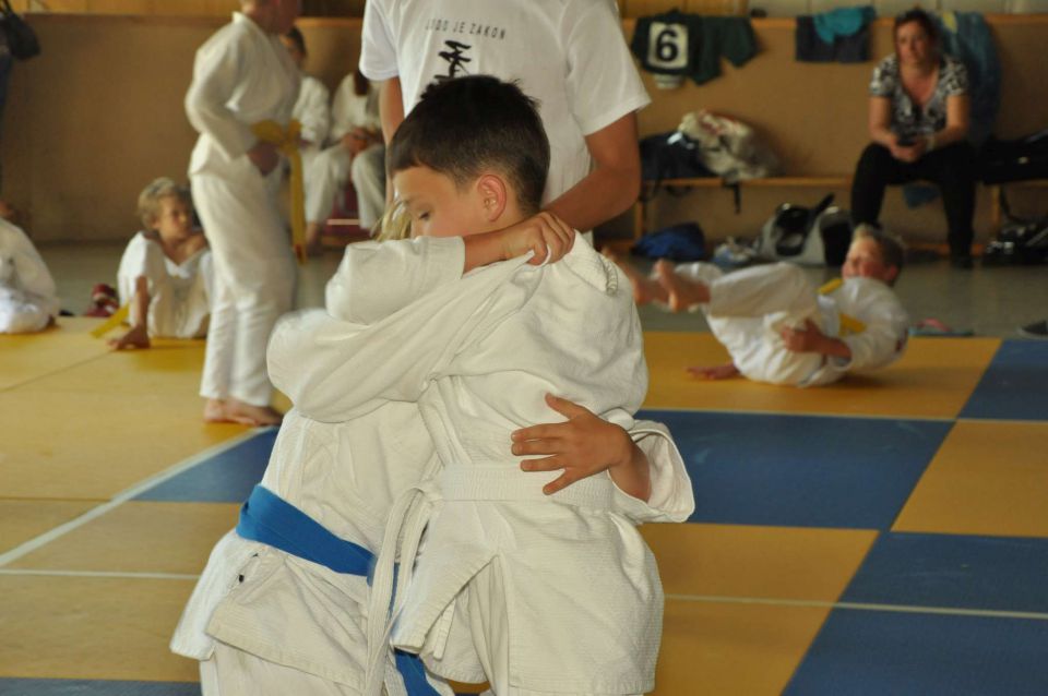 Judo Matej (2. mesto v svoji kat.) 19.5.2012 - foto povečava