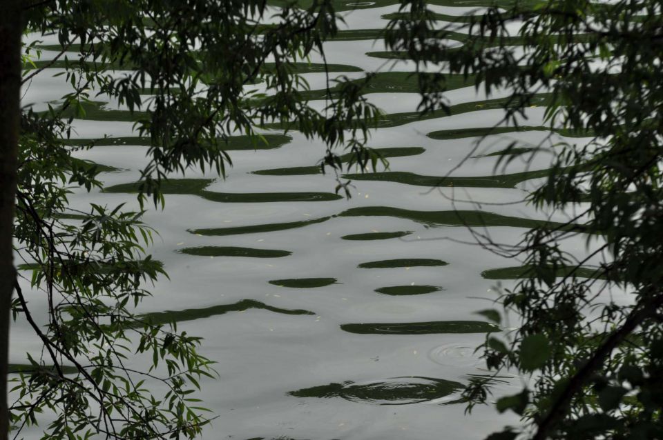 Velenjsko jezero 25.6.2012 - foto povečava