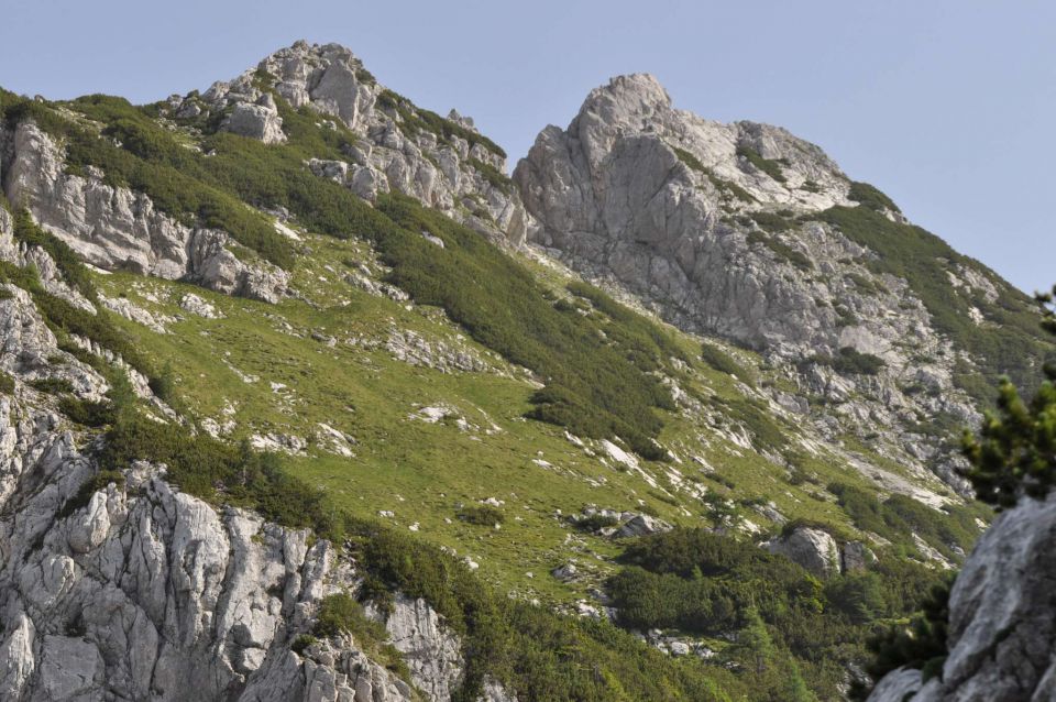 Logarska-Ojstrica 1.7.2012 - foto povečava