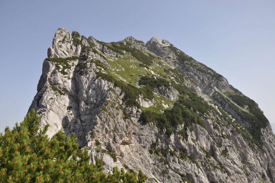 Logarska-Ojstrica 1.7.2012 - foto povečava