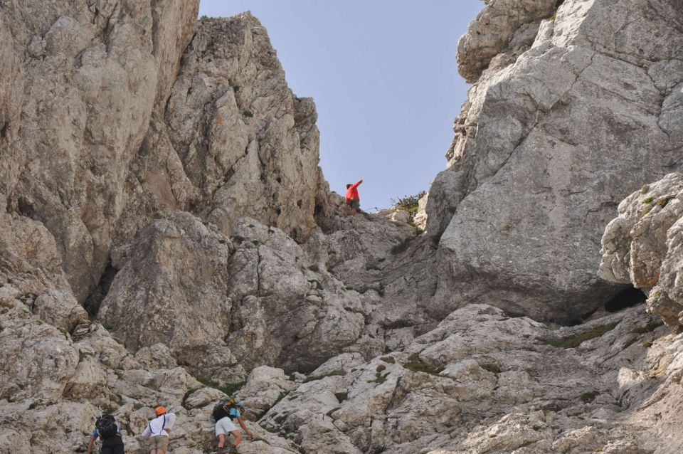 Logarska-Ojstrica 1.7.2012 - foto povečava