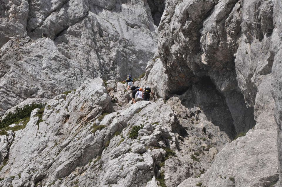 Logarska-Ojstrica 1.7.2012 - foto povečava