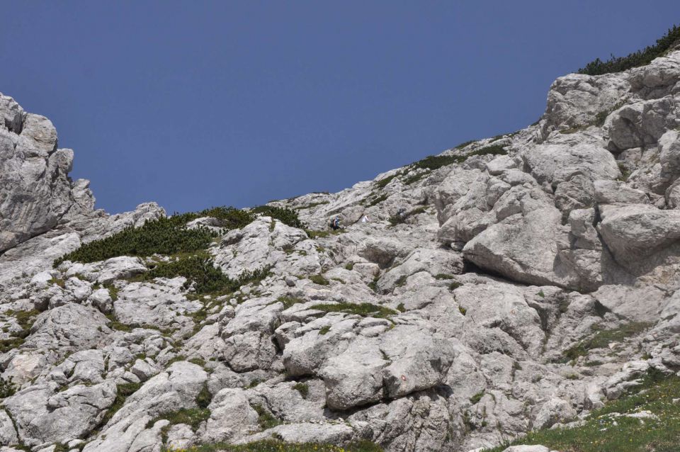 Logarska-Ojstrica 1.7.2012 - foto povečava