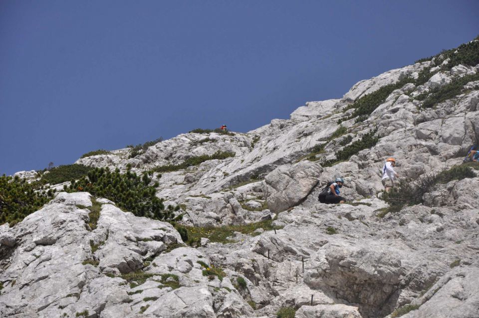 Logarska-Ojstrica 1.7.2012 - foto povečava