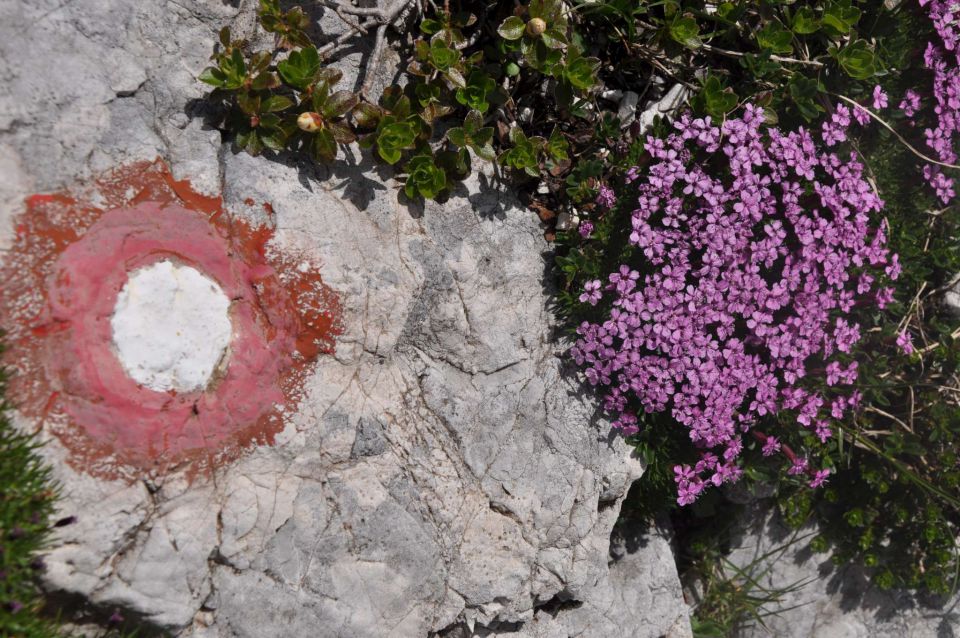 Logarska-Ojstrica 1.7.2012 - foto povečava