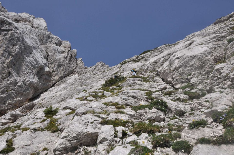 Logarska-Ojstrica 1.7.2012 - foto povečava