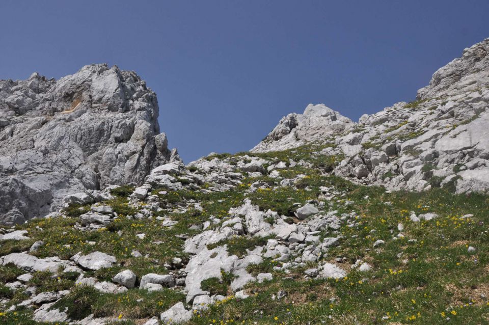 Logarska-Ojstrica 1.7.2012 - foto povečava