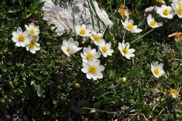 Ojstrica-Korošica-Škarje-Logarska 1.7.2012 - foto