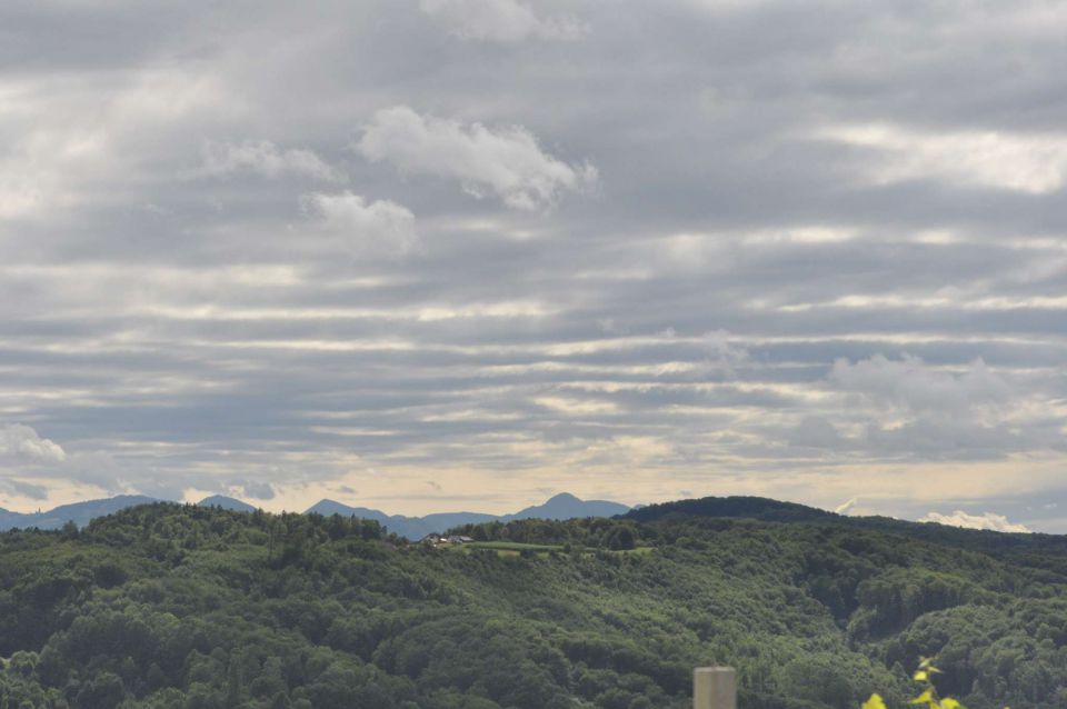 Pečica 15.7.2012 - foto povečava