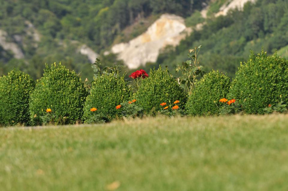 Pečica 15.7.2012 - foto povečava