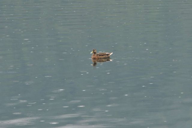 Dopust 2012 - Okrog jezera - foto