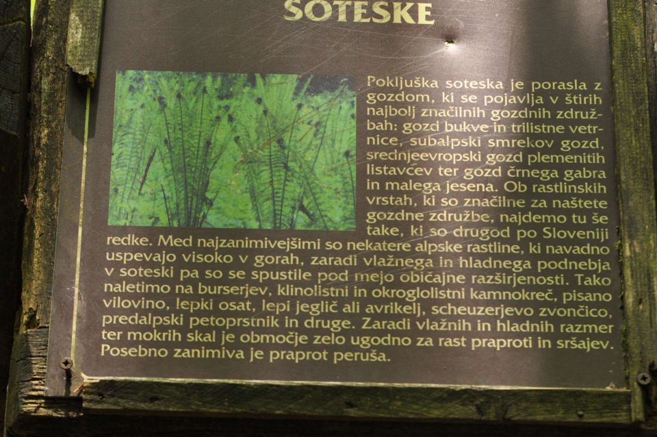 Dopust 2012 - Pokljuška soteska - foto povečava