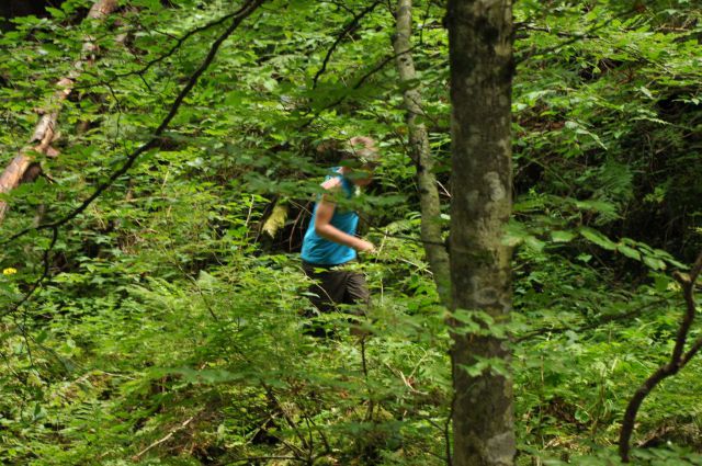 Dopust 2012 - Pokljuška soteska - foto