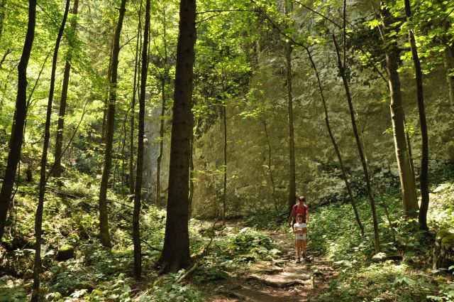 Dopust 2012 - Pokljuška soteska - foto