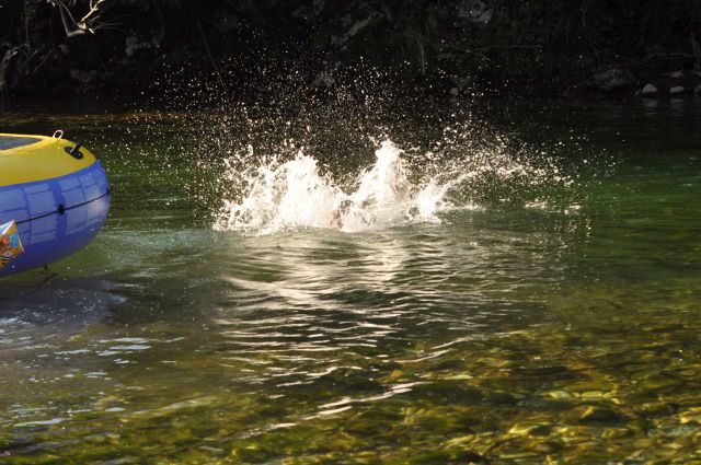 Dopust 2012 - Polje - foto