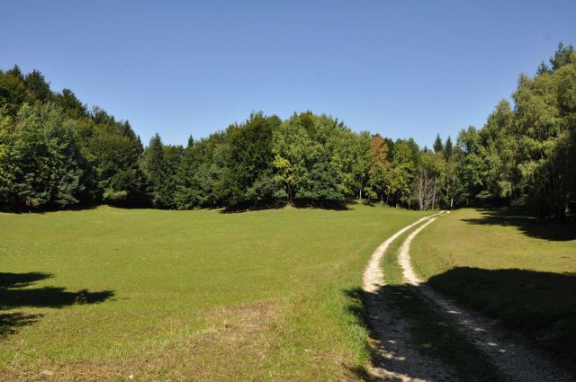 Kopitnik pri RImskih toplicah 8.9.2012 - foto