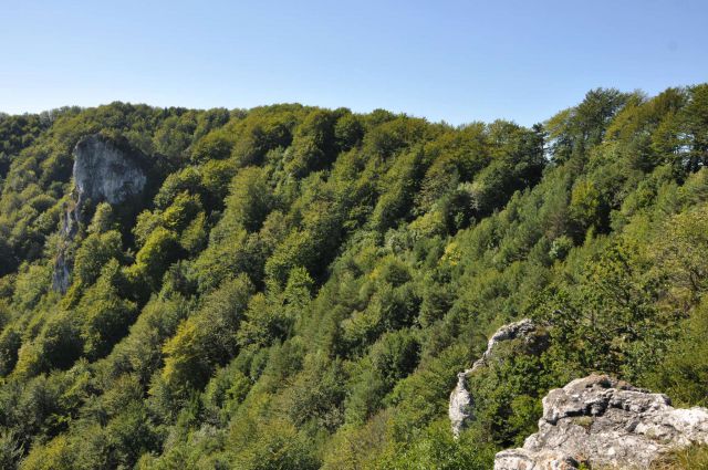 Kopitnik pri RImskih toplicah 8.9.2012 - foto