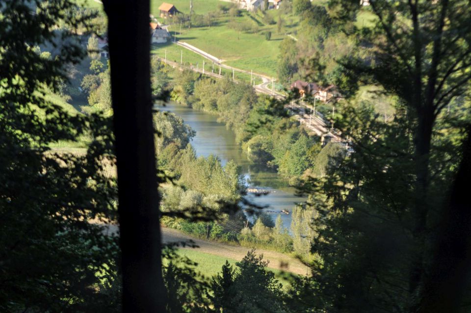 Kopitnik pri RImskih toplicah 8.9.2012 - foto povečava