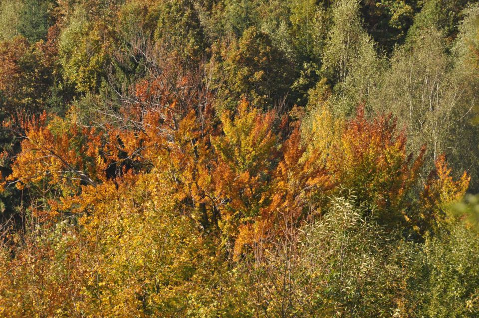 Pri Alini in Galu 21.10.2012 - foto povečava