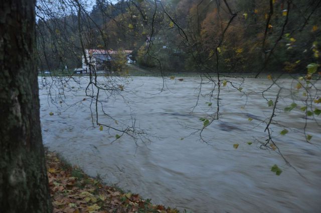 Savinja - poplave 5.11.2012 - foto