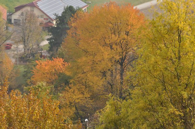 Jesen na Boču 10.11.2012 - foto