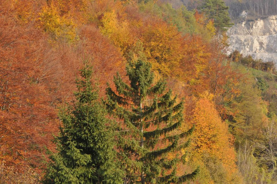 Jesen na Boču 10.11.2012 - foto povečava