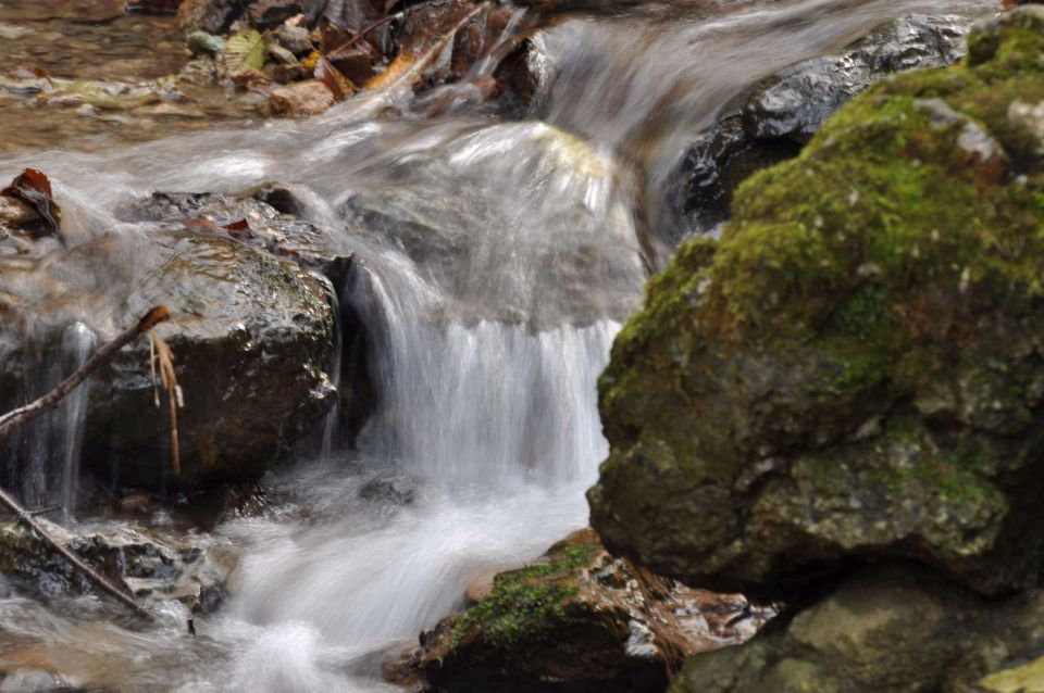 Jesen na Celjski koči 11.11.2012 - foto povečava