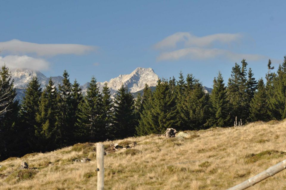 Kranjska reber 17.11.2012 - foto povečava