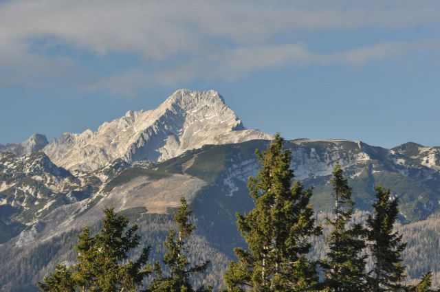 Kranjska reber 17.11.2012 - foto