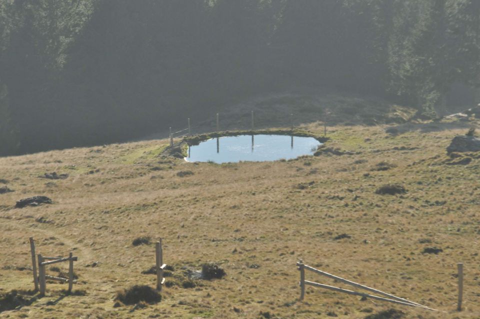 Kranjska reber 17.11.2012 - foto povečava