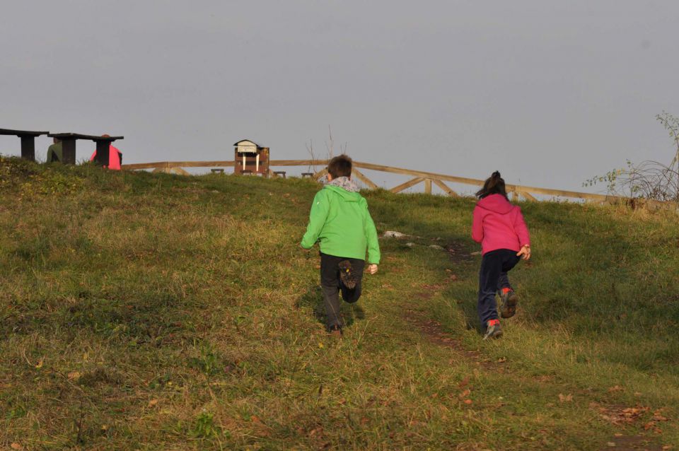 Rifnik iz Šentjurja 24.11.2012 - foto povečava