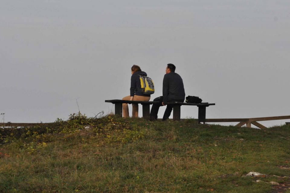 Rifnik iz Šentjurja 24.11.2012 - foto povečava