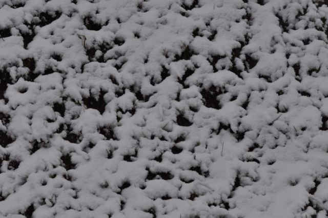 Celjska koča 2.12.2012 - foto